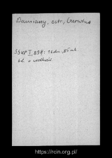 Damiany. Files of Ostrow Mazowiecka district in the Middle Ages. Files of Historico-Geographical Dictionary of Masovia in the Middle Ages