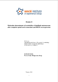 Molecular determinants of excitability of hindlimb motoneurons after complete spinal cord transection and BDNF overexpression : PhD thesis