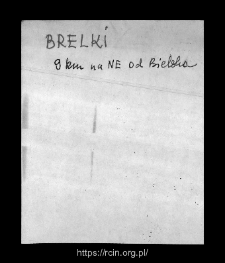 Brelki. Files of Bielsk district in the Middle Ages. Files of Historico-Geographical Dictionary of Masovia in the Middle Ages