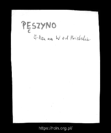 Pęszyno. Files of Bielsk district in the Middle Ages. Files of Historico-Geographical Dictionary of Masovia in the Middle Ages