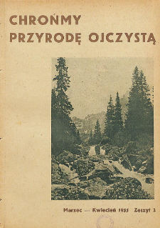 Naturalne szpalery świerkowe nad górną granicą lasu na stokach Małej Kosistej w Tatrach