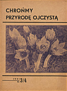 Nowe jaskinie na terenie Polski