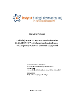Oddziaływanie transportera aminokwas&oacute;w SLC6A14/ATB0,+ z białkami szoku cieplnego - rola w przeżywalności kom&oacute;rek raka piersi : praca doktorska
