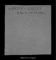 Warzyn-Sk&oacute;ry. Files of Sierpc district in the Middle Ages. Files of Historico-Geographical Dictionary of Masovia in the Middle Ages