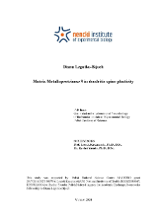Matrix Metalloproteinase 9 in dendritic spine plasticity : PhD thesis