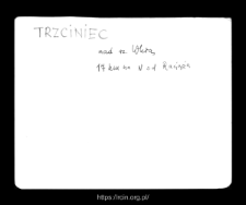 Trzciniec. Files of Raciaz district in the Middle Ages. Files of Historico-Geographical Dictionary of Masovia in the Middle Ages