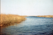 Rzeka Biebrza