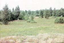 Og&oacute;lny krajobraz rezerwatu