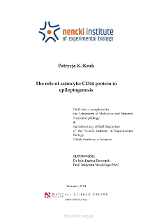 The role of astrocytic CD44 protein in epileptogenesis : PhD thesis