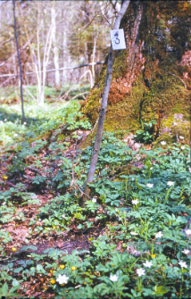 Powierzchnia 14 oddz. 371