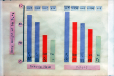 Ciężar ciała przy urodzeniu krzyż&oacute;wek Askanisowej w Polsce