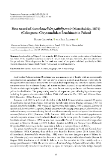 First record of Acanthoscelides pallidipennis (Motschulsky, 1874) (Coleoptera: Chrysomelidae: Bruchinae) in Poland