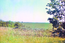Widok na turzycowisko nad Biebrzą z "Bąkalina II"