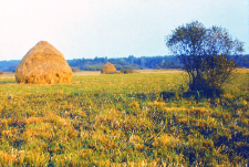 Stogi nad Biebrzą - rejon Waśniewskich