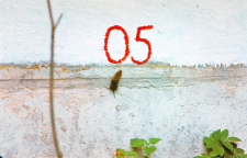 Wypuszczone łasice do gryzoni w Wiwarium ZBS