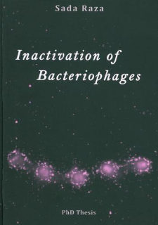 Inactivation of bacteriophages