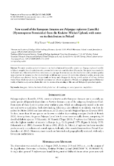 New record of the European Amazon ant Polyergus rufescens (Latreille) (Hymenoptera: Formicidae) from the Krak&oacute;w&ndash;Wieluń Upland, with notes on its distribution in Poland