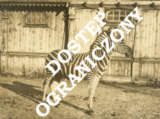 Zoo Warszawa