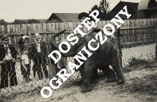 Fotografie słoni