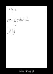 Lipie. Files of Grojec district in the Middle Ages. Files of Historico-Geographical Dictionary of Masovia in the Middle Ages
