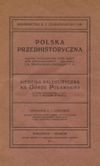 Siedziba paleolityczna na G&oacute;rze Puławskiej, na lewym brzegu Wisły