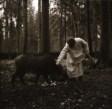 [Mierzenie mieszańc&oacute;w w rezerwacie]