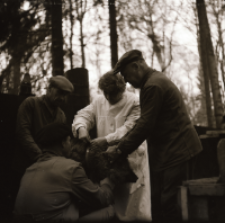 [Mierzenie mieszańc&oacute;w w rezerwacie (3)]