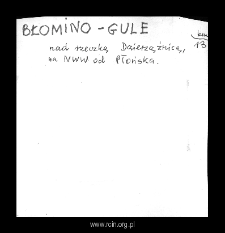 Błomino-Gule. Files of Plonsk district in the Middle Ages. Files of Historico-Geographical Dictionary of Masovia in the Middle Ages