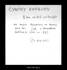 Cywiny-Dynguny. Files of Plonsk district in the Middle Ages. Files of Historico-Geographical Dictionary of Masovia in the Middle Ages