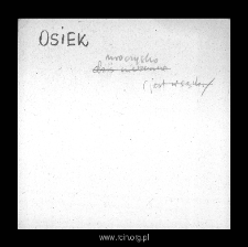 Osiek. Files of Plonsk district in the Middle Ages. Files of Historico-Geographical Dictionary of Masovia in the Middle Ages
