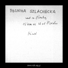 Płonna Szlachecka, now part of Płonna. Files of Plonsk district in the Middle Ages. Files of Historico-Geographical Dictionary of Masovia in the Middle Ages