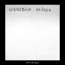 Wierzbica Pańska. Files of Plonsk district in the Middle Ages. Files of Historico-Geographical Dictionary of Masovia in the Middle Ages