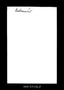 Bodzan&oacute;w. Files of Wyszogrod district in the Middle AgesFiles of Historico-Geographical Dictionary of Masovia in the Middle Ages