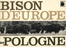 Bison D'Europe (Bison bonasus L.) en Pologne