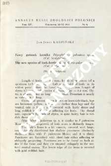 The new species of bark-beetle Pityophthorus polonicus sp. n. (Col. Scolytidae)