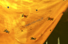 Manufacture of textiles - dyeing and printing, Rajasthan (Iconographic document)