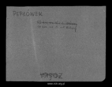 Pepłówek, now part of Pepłowo. Files of Mlawa district in the Middle Ages. Files of Historico-Geographical Dictionary of Masovia in the Middle Ages