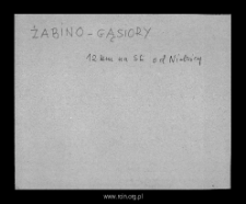 Żabino-Gąsiory. Files of Mlawa district in the Middle Ages. Files of Historico-Geographical Dictionary of Masovia in the Middle Ages