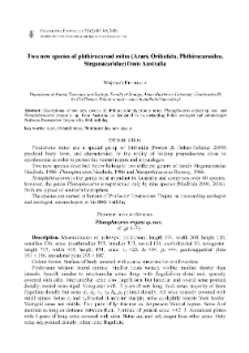 Two new species of phthiracaroid mites (Acari, Oribatida, Phthiracaroidea, Steganacaridae) from Australia