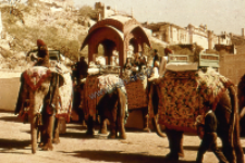 Elephants in the castle Amer in Jaipur (Iconographic document)