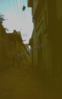 Street in the town Nathdvara (Iconographic document)