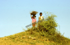 Portrait of children (Iconographic document)
