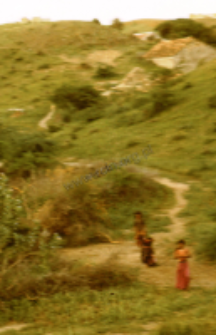 House, kachchi rabari (Iconographic document)