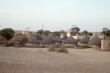Traditional huts (Iconographic document)