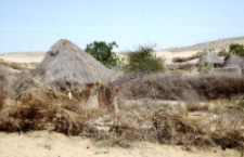 Old houses (bhunga) in the Thar desert (Iconographic document)