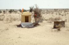 Hindu Shrine in the Thar desert (Iconographic document)