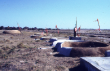 Traditional village, shrines of kachchi rabari (Iconographic document)