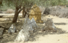 Kapliczka hinduistyczna na pustyni Thar (Dokument ikonograficzny)