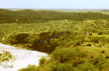 Landscape of Kutch (Iconographic document)