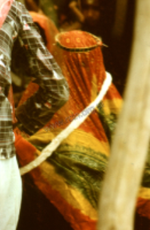 Dheberiya rabari wedding (Iconographic document)